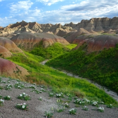 Best-of-the-Badlands