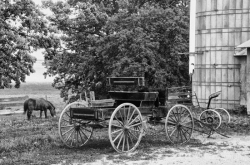 1_Old-Wagon