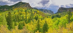 Spearfish-Canyon-Pano-1-media