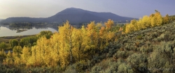 Wyoming-Aspens-Pano