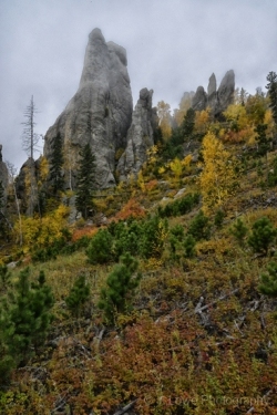 Giants-in-the-Mist