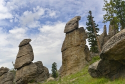 Guardians-of-the-Needles-meda