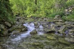 Iron-Creek-Spring-1