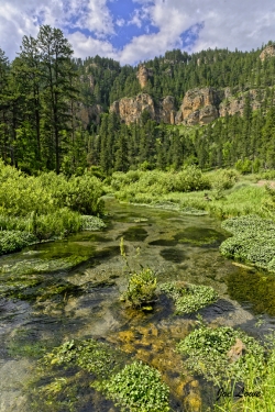 Spearfish-Creek-Spring-Colors-media