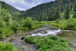 Spearfish-Creel-Beaver-Dam