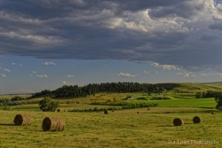 Spring-at-the-Ranch