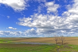 Wall-Clouds-and-Colors-media