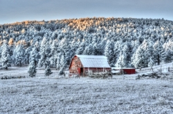 Winter-Barn-in-Piedmont